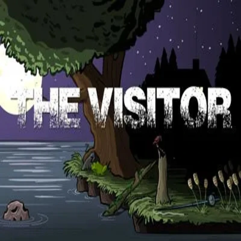 The Visitor